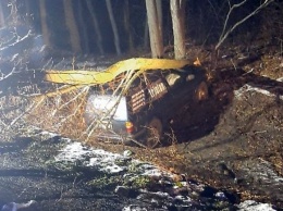 На трассе Харьков - Киев дерево рухнуло на автомобиль, пострадали две пассажирки