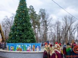 Ярмарка с вкусностями и море веселья: в Приднепровском парке открыли елку