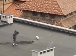 В Одессе мужчина решил выгулять собаку на крыше, но что-то пошло не так: забавное видео