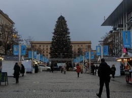 На Европейской площади установили главную елку Днепра (ФОТО)