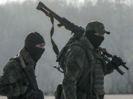 В США изучают, как поддерживать украинских партизан после вторжения России