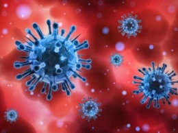 На сколько опасен штамм «Омикрон» - объяснение иммунолога