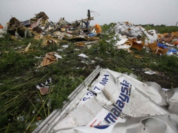 Прокуратура Нидерландов запросила для обвиняемых в деле о катастрофе MH17 пожизненные сроки