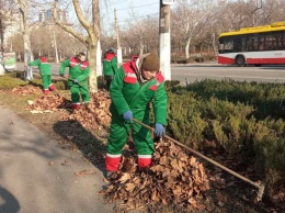 Одесские озеленители получили новую зимнюю униформу. Фото