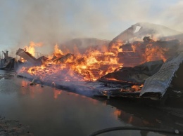На Киевщине произошел масштабный пожар на пилораме