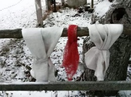 В Беларуси активистку Елену Гнаук задержали за фото в инстаграме с платками белого и красного цветов