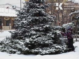 Симферопольские водители игнорируют запрет на парковку в центре города