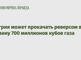 Венгрия может прокачать реверсом в Украину 700 миллионов кубов газа