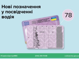 Автомат или механика: с 29 декабря на водительских удостоверениях украинцев будут ставить новую отметку