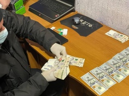 В Днепропетровской области мошенники обобрали граждан на полмиллиона под видом устройства на работу