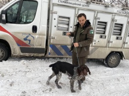 Патрульные Днепра спасли хромую собаку, которая замерзала на улице