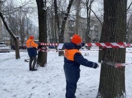 1 января в Одессе заработают площадки для сбора новогодних елок