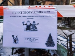 1 января в Одессе начнут работу пункты приема елок