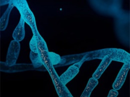 Нейросеть с рекордной точностью показала, как восстанавливается ДНК