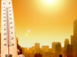 2022 год будет одним из самых теплых - климатологи