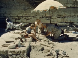Умер палеоантрополог Ричард Лики, открывший "мальчика из Турканы"