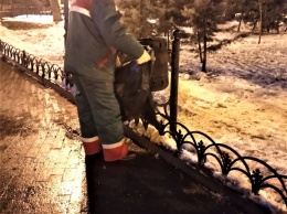 В новогоднюю ночь чистоту в центре Одессы поддерживали коммунальные службы города. Фото