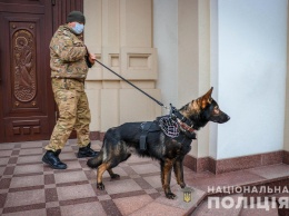 В Запорожской области на Рождество будут дежурить 1600 правоохранителей