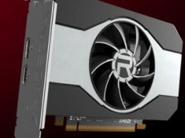 AMD считает, что Radeon RX 6500 XT не привлечет внимание майнеров
