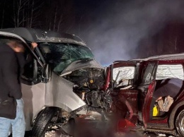 ДТП на Полтавщине: Тoyota влетела в микроавтобус - 10 пострадавших