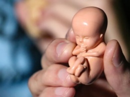 В Киево-Печерской лавре 11 января будут молиться о нерожденных детях, погибших от абортов