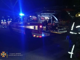 В Мелитополе ночью легковушка влетела в дерево - два человека погибли