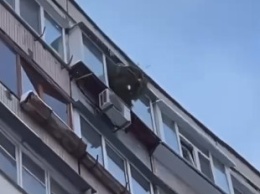 Лень одолела: Киевлянин выбросил елку с балкона последнего этажа многоэтажки