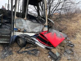 Страшное ДТП под Новомосковском: сгорел рейсовый автобус и погиб водитель легковушки