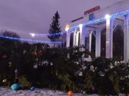 В Украине ветер повалил множество новогодних елок
