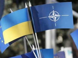 Очередной украинец предложил свою землю под базу НАТО