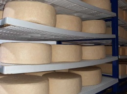 В Крыму увеличилось производство сыра