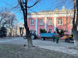 Стартовала акция по высадке сосен на территориях учебных заведений Одессы. Фото