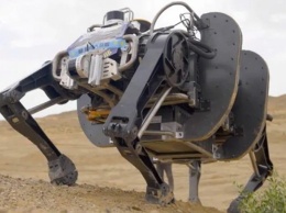В Китае создали самого крупного в мире военного робота-быка
