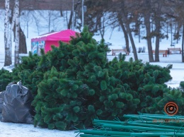 Праздникам конец: в парке Глобы разобрали новогоднюю елку (ФОТО)