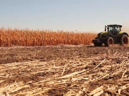 Цены на сельскохозяйственную продукцию растут в Украине, несмотря на объем и качество урожаев