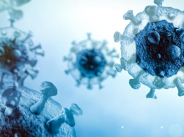 "Блокировка" коронавируса организмом: ученые обнародовали невероятное заявление