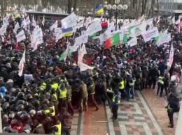 Протесты под Радой: "ФОПы" штурмуют парламент, есть задержанные