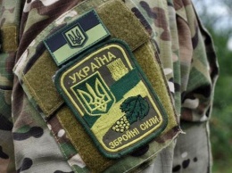 Аналитики назвали место Украины в рейтинге самых сильных армий мира
