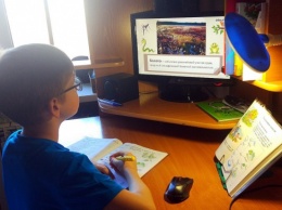 Три школы Бучанского горсовета на Киевщине перешли на дистанционное обучение