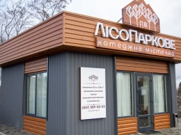 Дом по цене квартиры: в Днепре появился коттеджный городок «ЛесоПарковое»