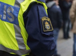 В Швеции задержан россиянин, запускавший дрон над резиденцией королевской семьи