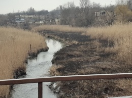 Камыши, доски и фекальные воды: в каком состоянии находится река Саксагань в Кривом Роге