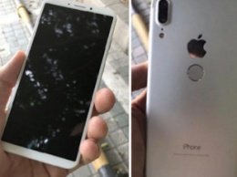 Показан iPhone со сканером отпечатков пальцев на задней панели
