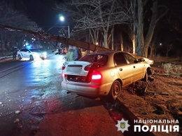 В Запорожской области пьяный водитель снес электроопору
