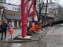 Фонарики и "красные" деревья: улицу Баррикадную подготовили к Китайскому Новому году