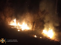 В Одесской области произошло два масштабных пожара в полях