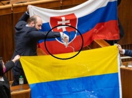 Флаг Украины облили водой в парламенте Словакии (ФОТО)