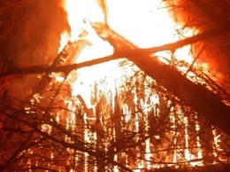 В Кривом Роге пожар уничтожл крышу дома на улице Оболоновской