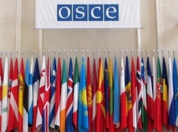 МИД назвал возможные сроки встречи ОБСЕ по России