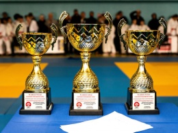 Криворожские дзюдоисты завоевали 10 медалей на всеукраинских соревнованиях